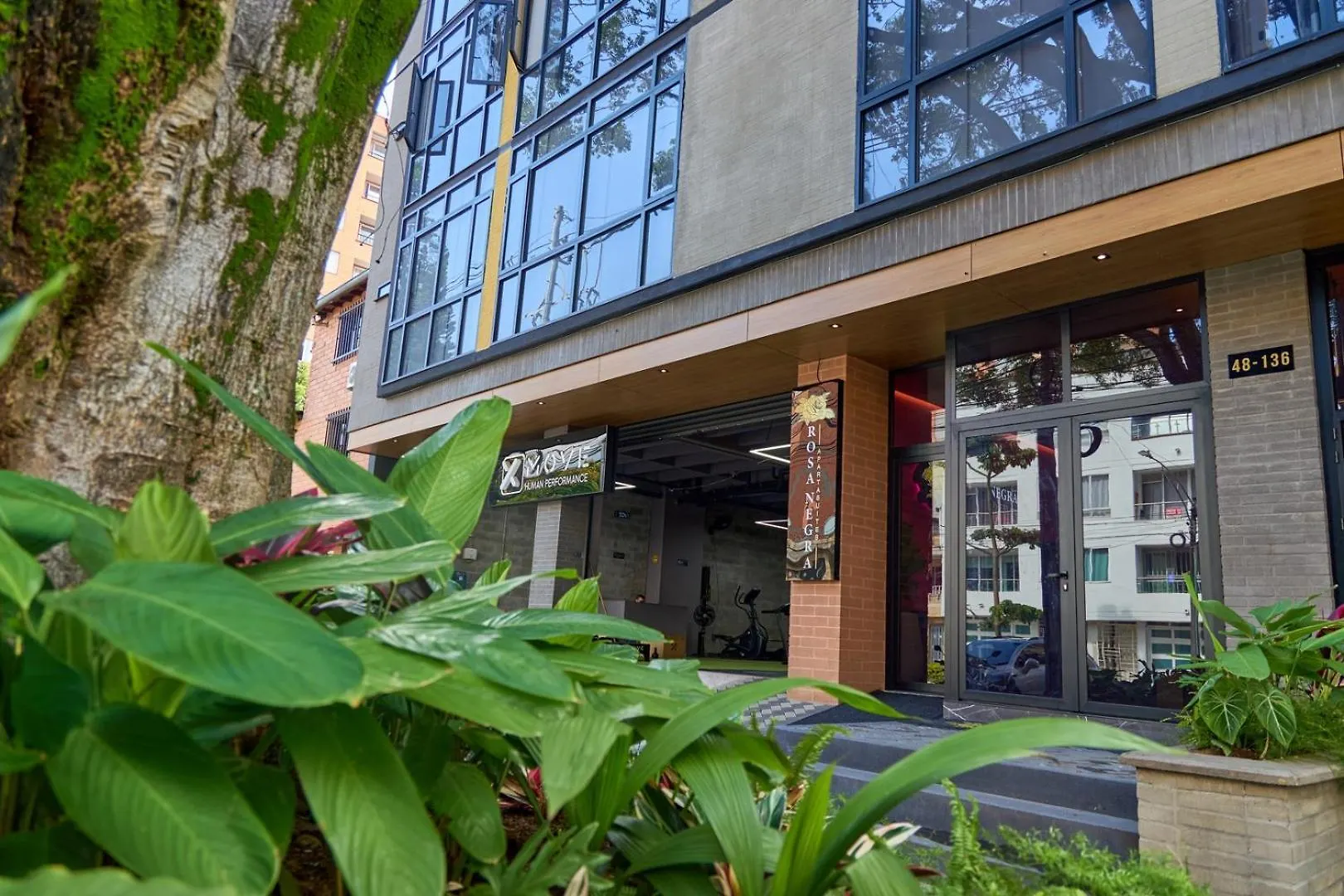 Apartment Estadio Jacuzzi Haven Cozy Rosa Negra Suite Medellin Colombia
